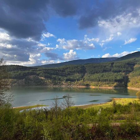 Zavojsko Jezero - Vila Jezero Пирот Экстерьер фото